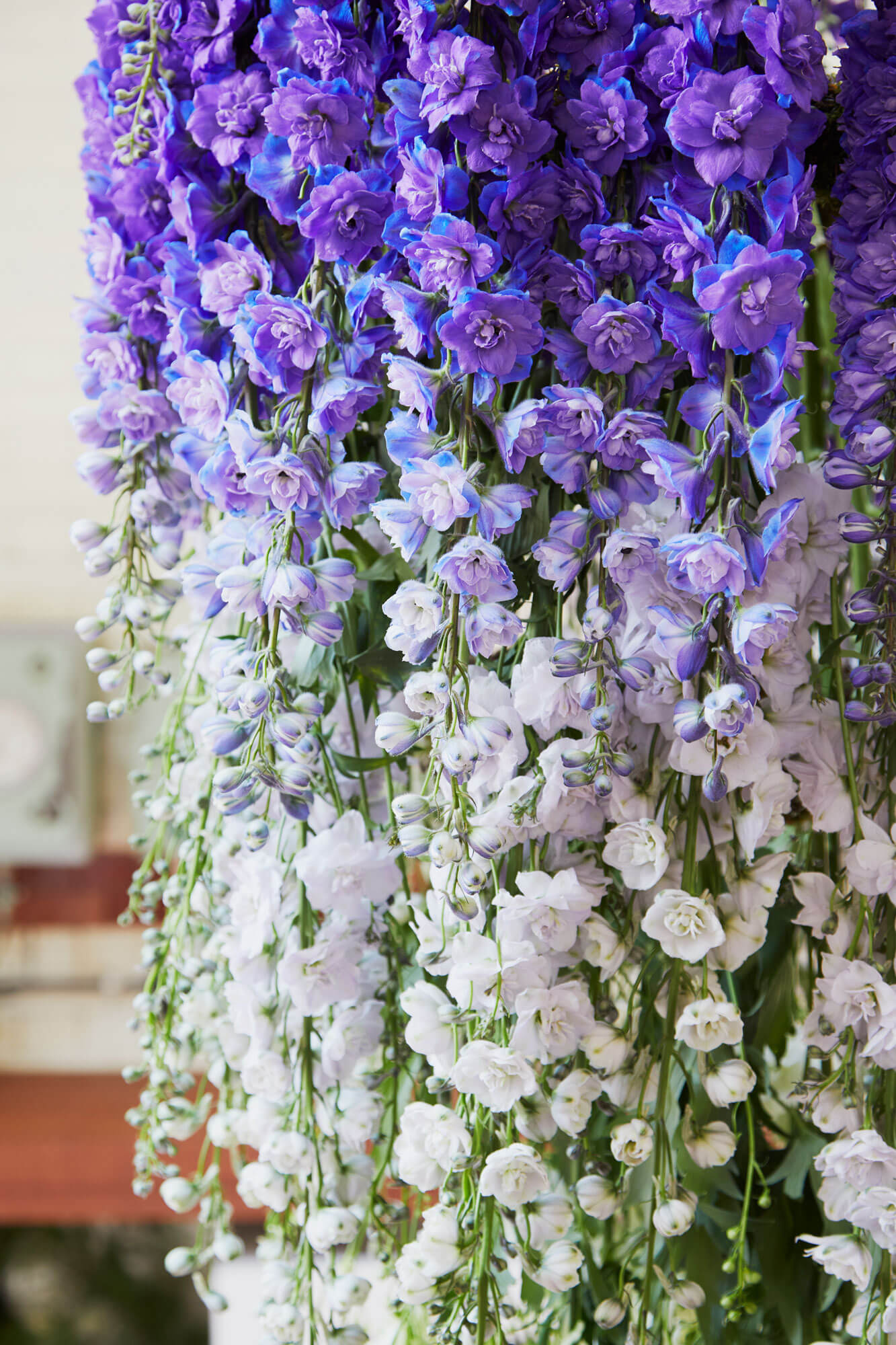 BLFS suspended delphinium stems in a circular format to make a chandelier