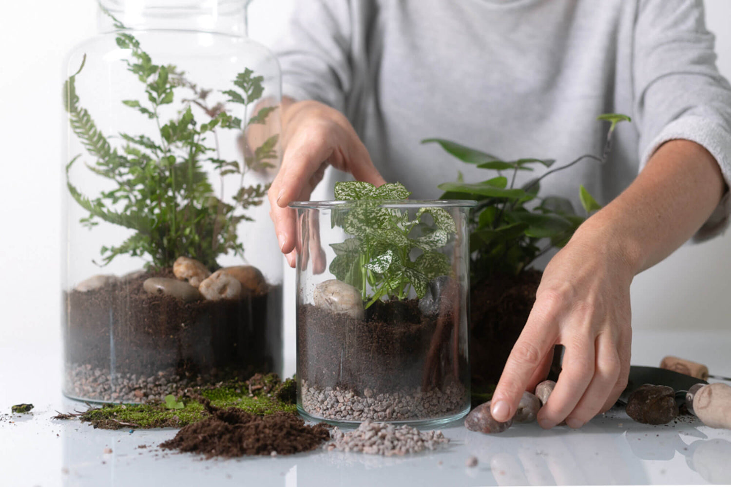 terrariums with ingredients spread out in front of a person making one