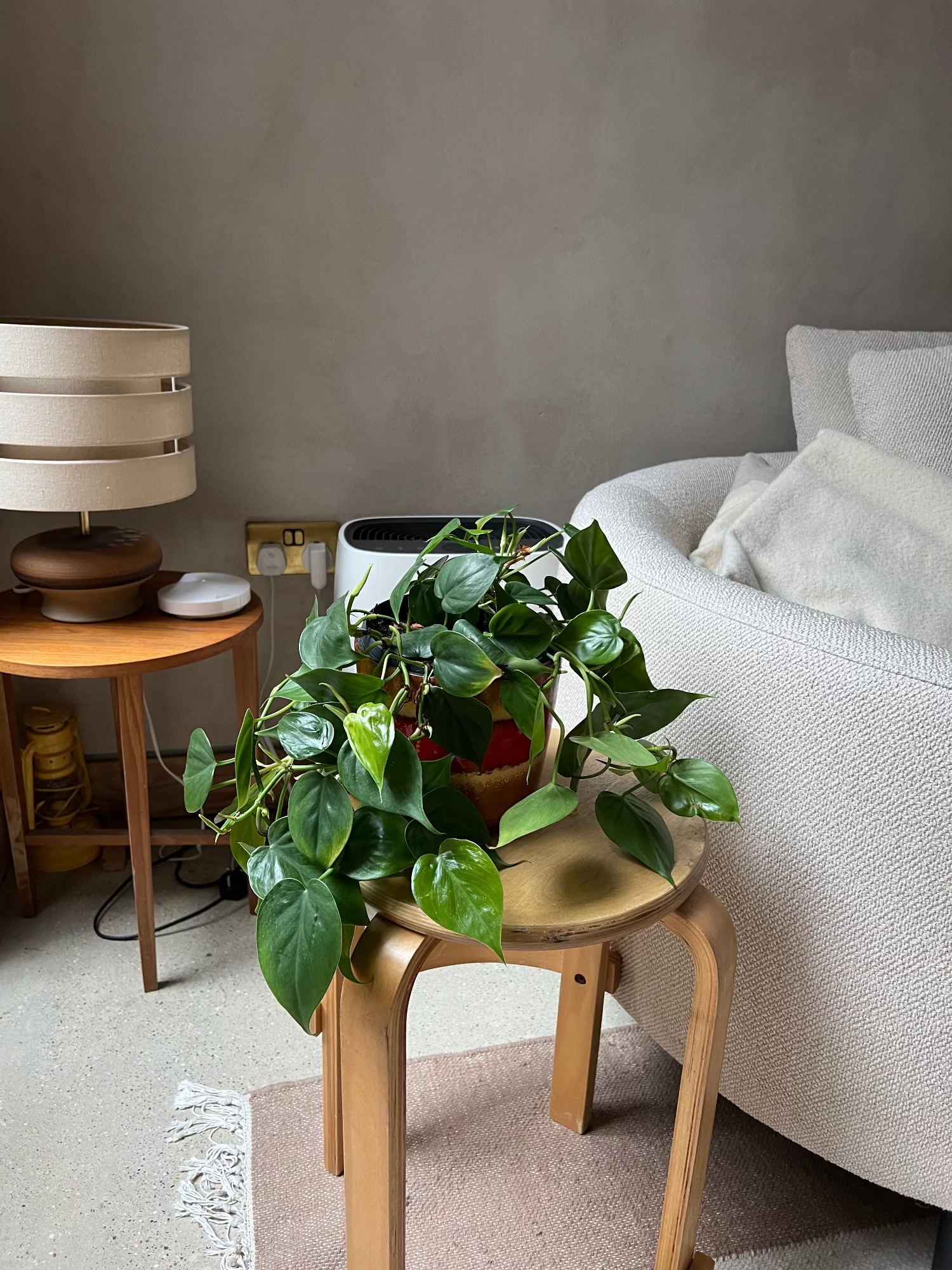 Potted Epipremnum plant on a wooden stool in a contemporary living room setting with a lamp and sofa.