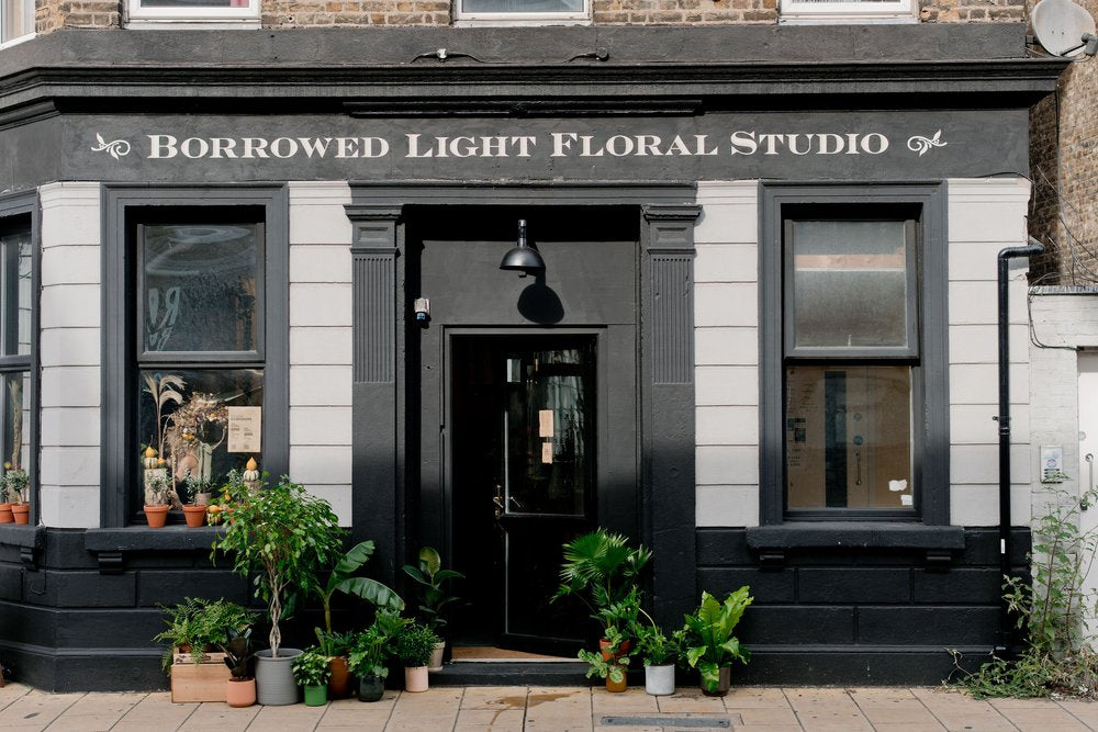 Store front for Borrowed Light Floral Studio with painted black walls and potted plants outside