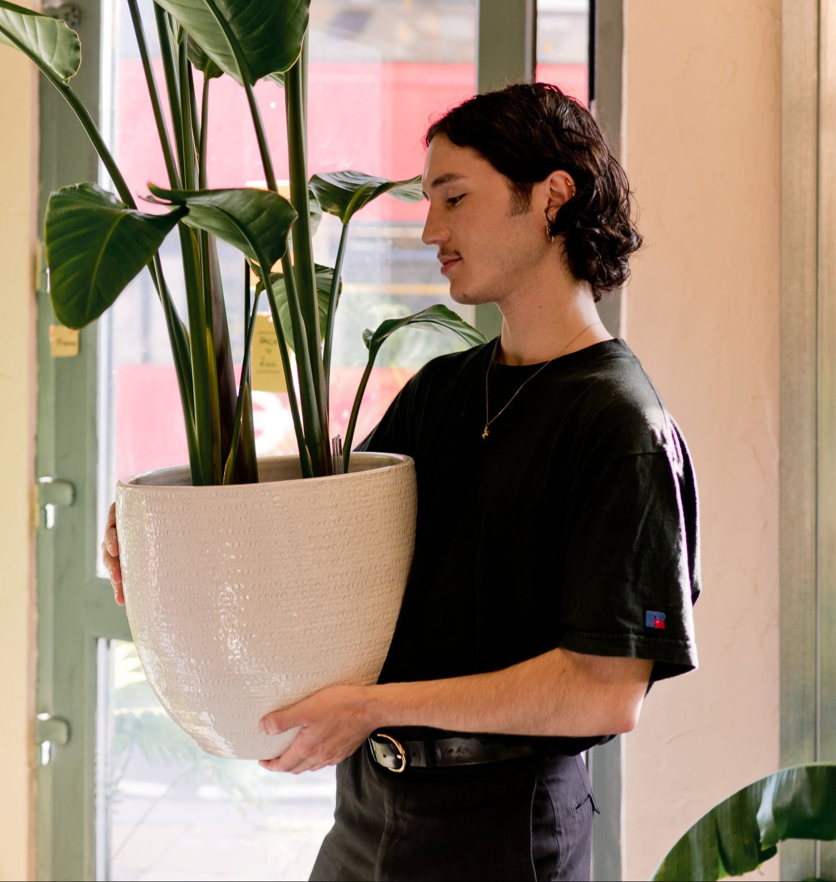 Person holding a potted plant in a store with shelves and more plants in the background