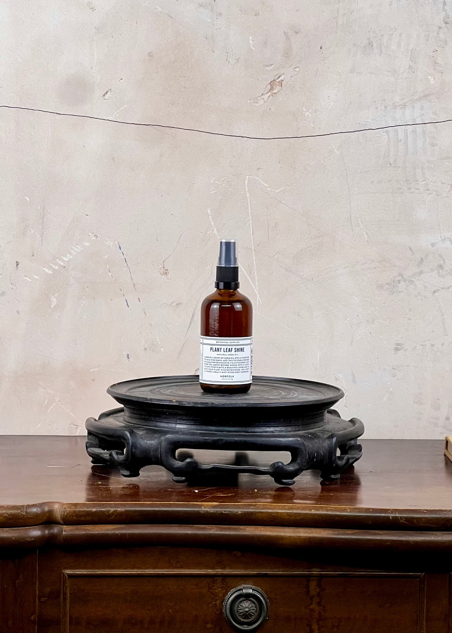 Bottle of Plant & Co on a dark wooden stand against a textured beige wall.