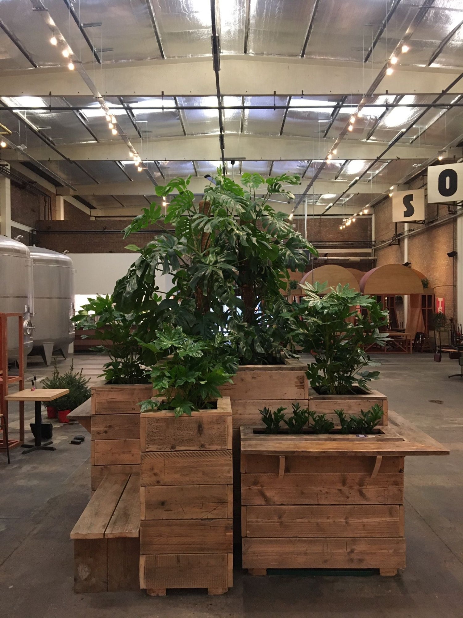 Indoor setting with large potted plants in wooden planters on a concrete floor.