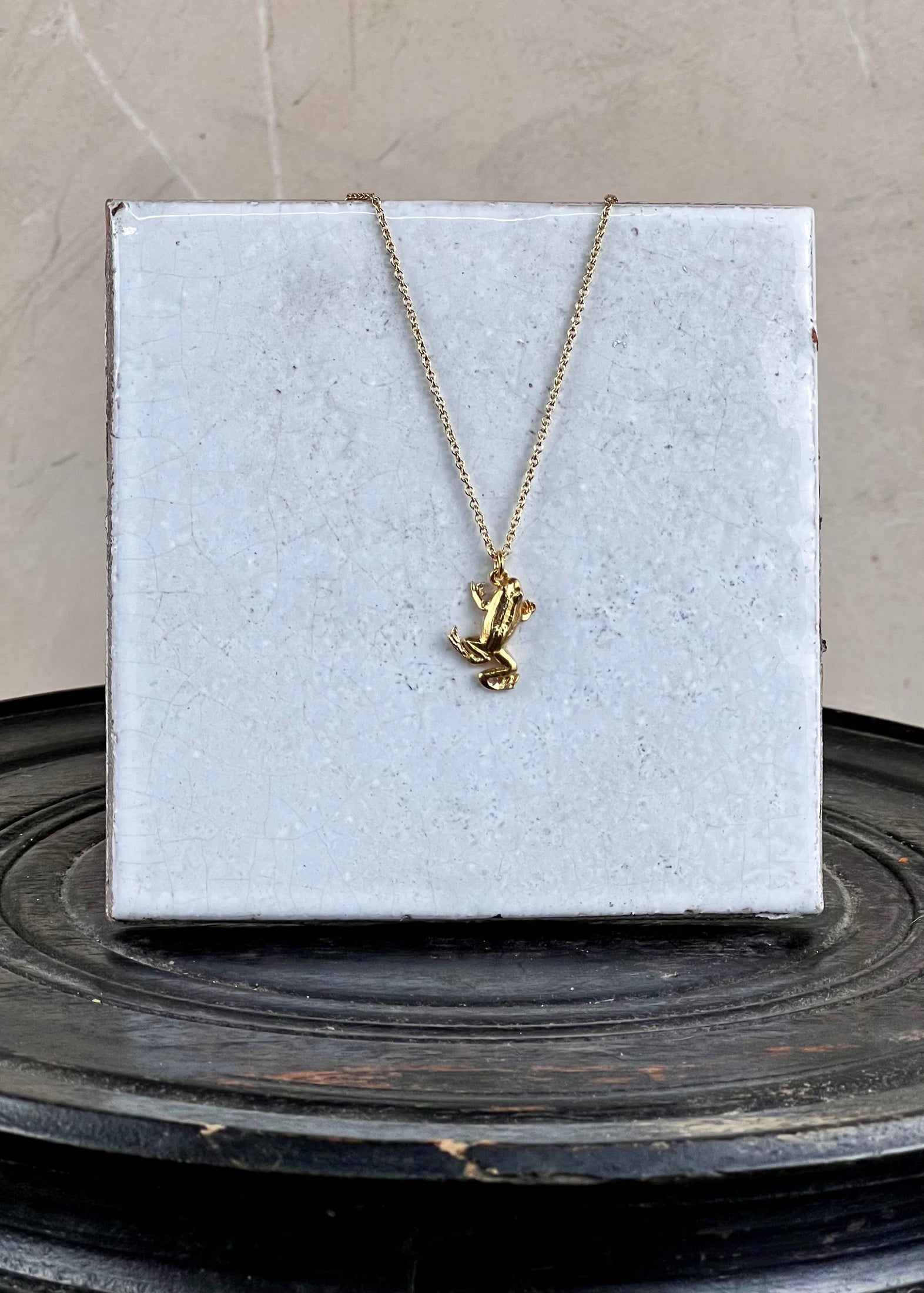 Gold necklace with a frog pendant on a white box against a gray background