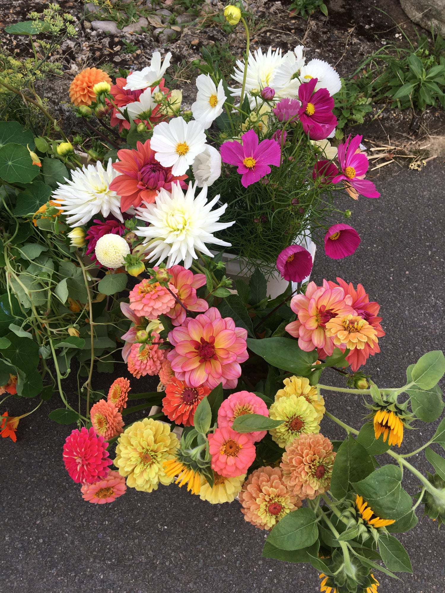 Colorful bouquet of flowers on a dark surface. bright pink dahlia, orange and yeloow zinnia and white Cosmos and Dahlia