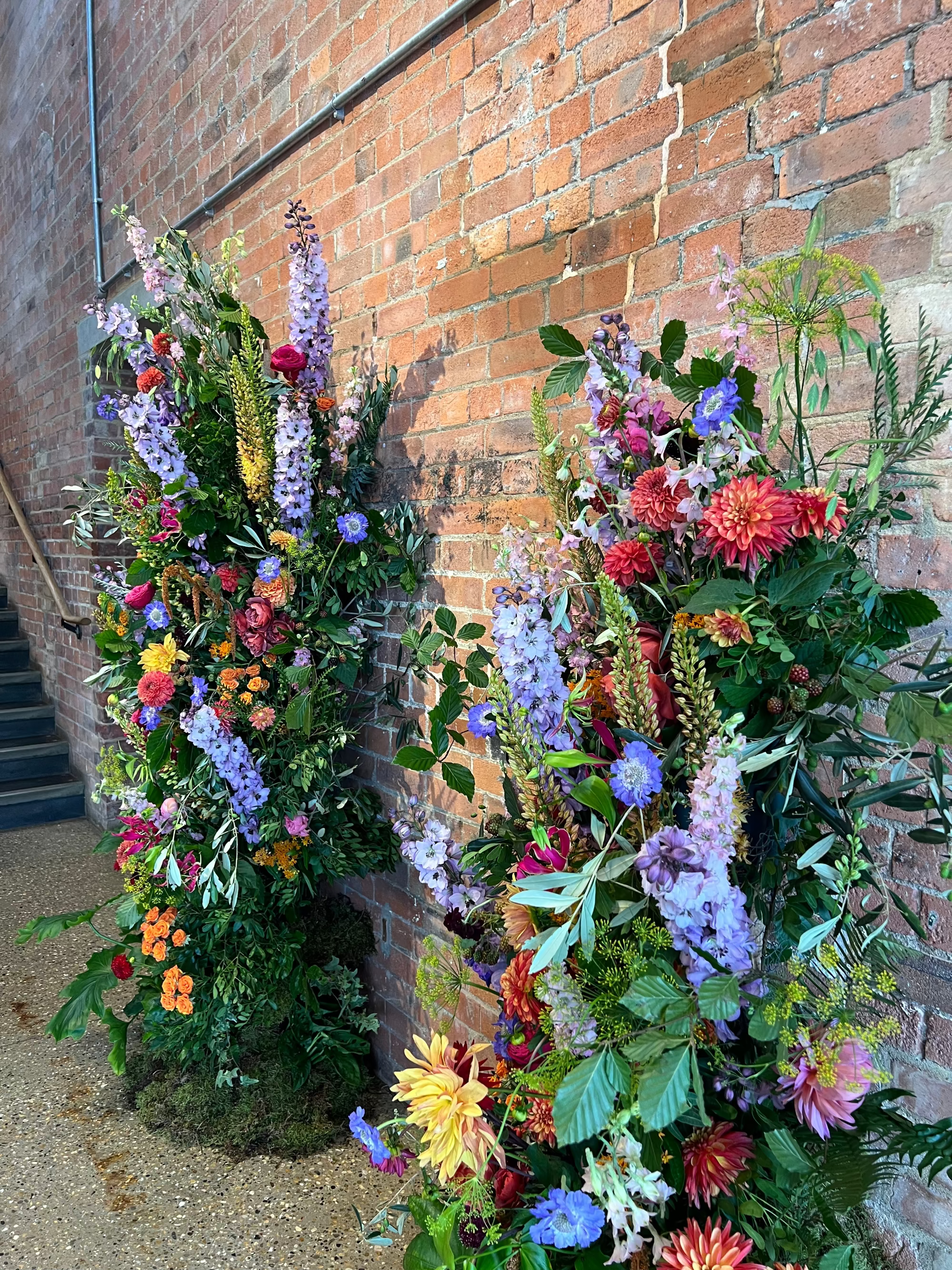 Large and colourful Floral arrangements against a brick wall. Floral columns of bright coloured flowers that include delphinium, Eremurus, dahlia, dill beech and scabious