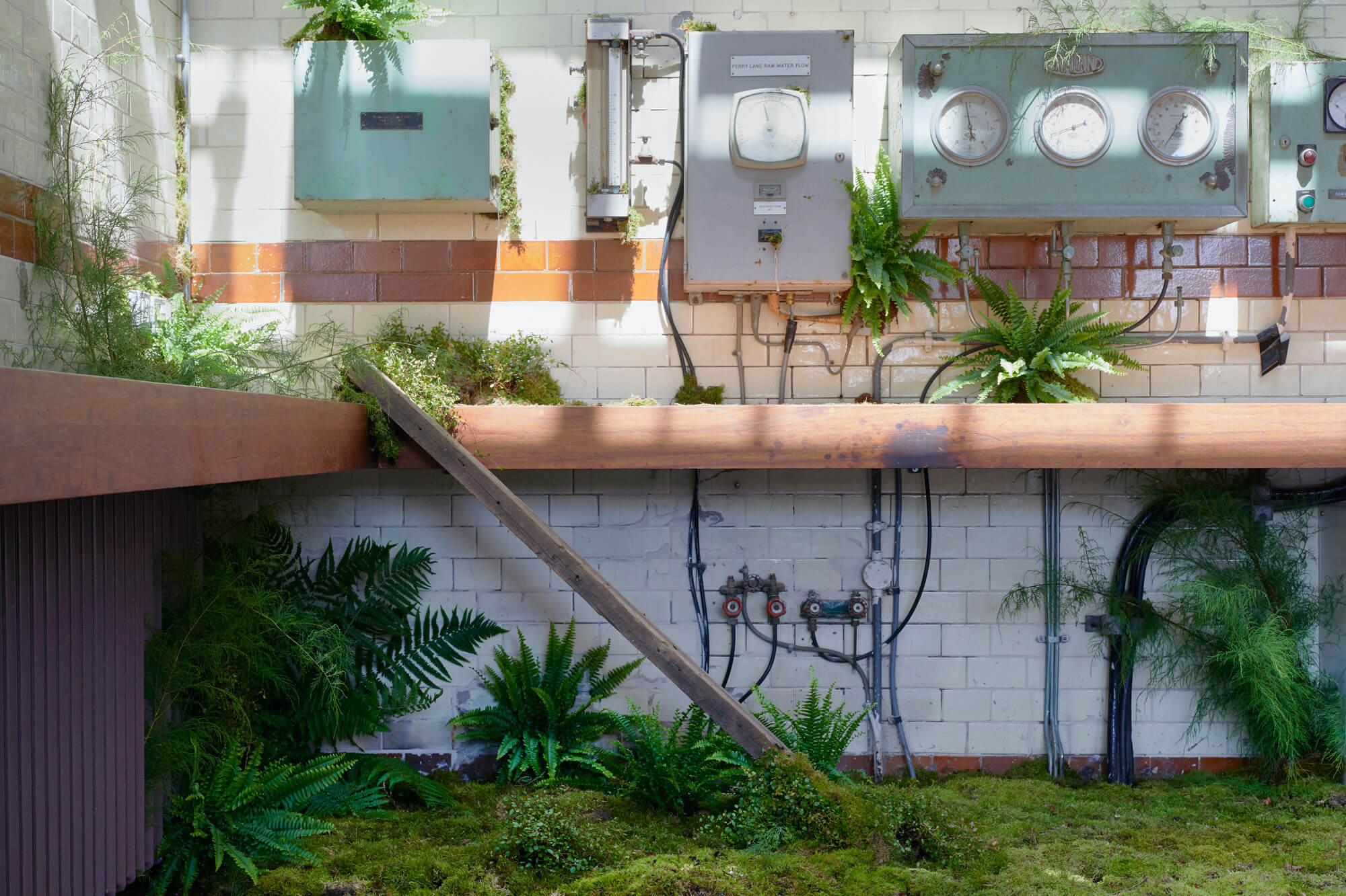 BLFS Set design of abandoned factory taken over by plant life including moss and ferns