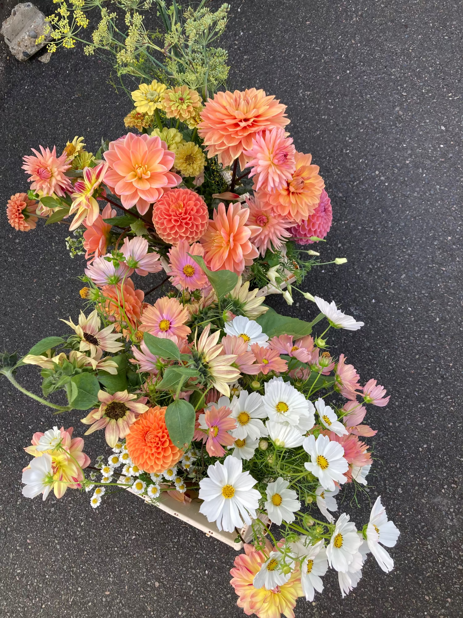 Bouquet of flowers on a dark surface. Orange peach and white Dahlia, cosmos and sunflowers