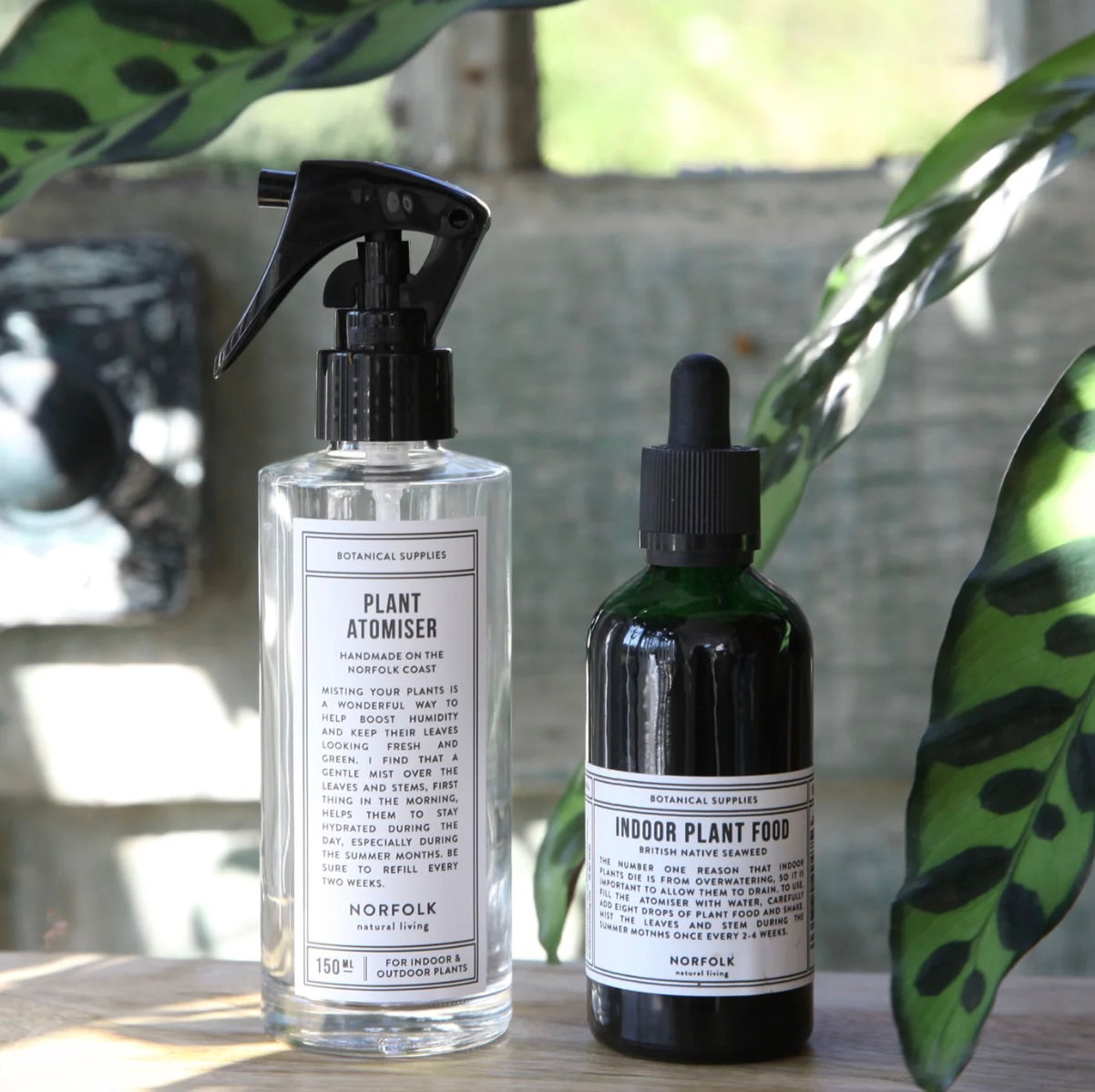 Norfolk Plant Care Set