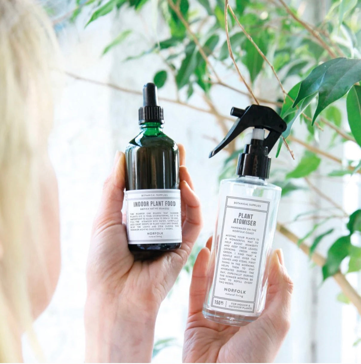 Norfolk Plant Care Set