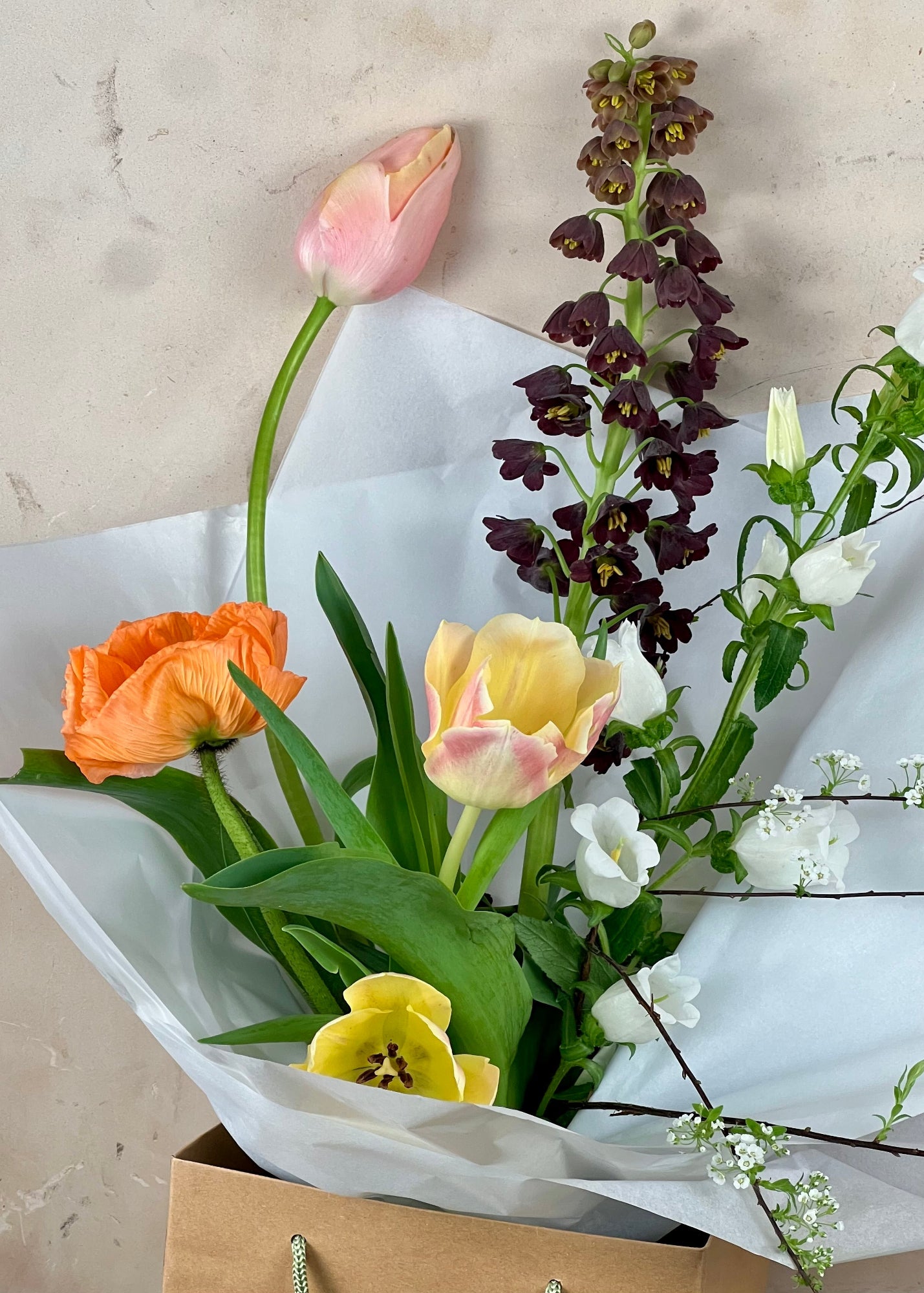 Bouquet of flowers including tulips and other varieties on a neutral background