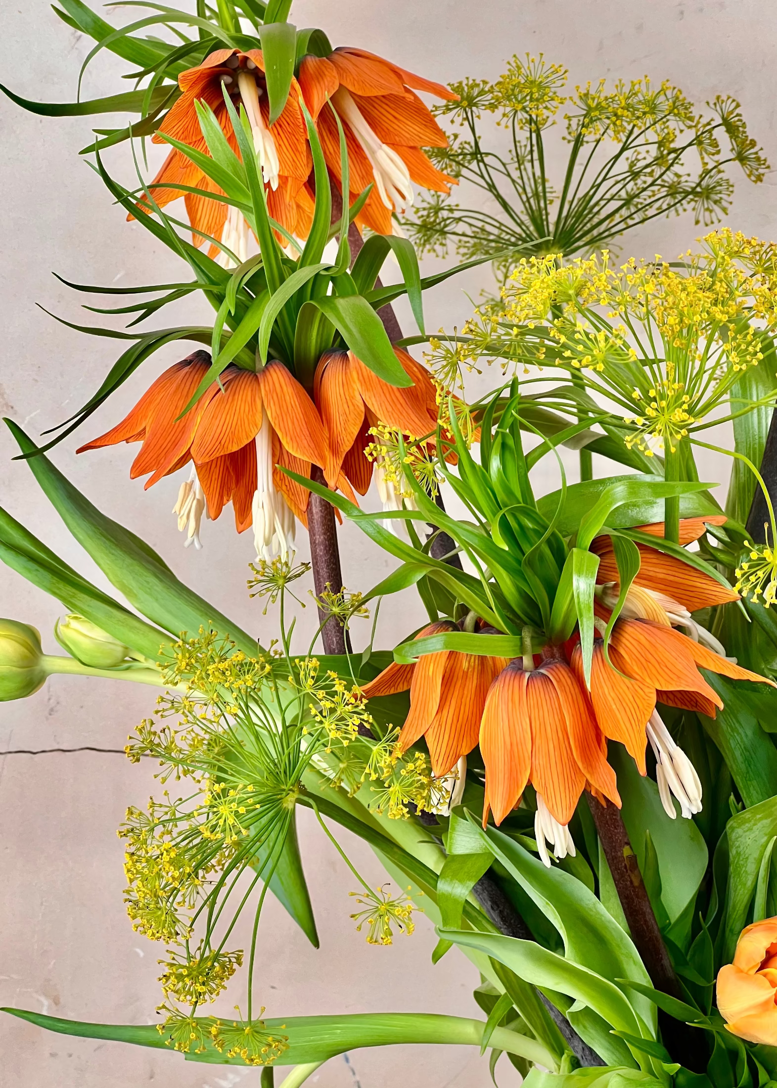 Bouquet of orange flowers with green leaves against a neutral background