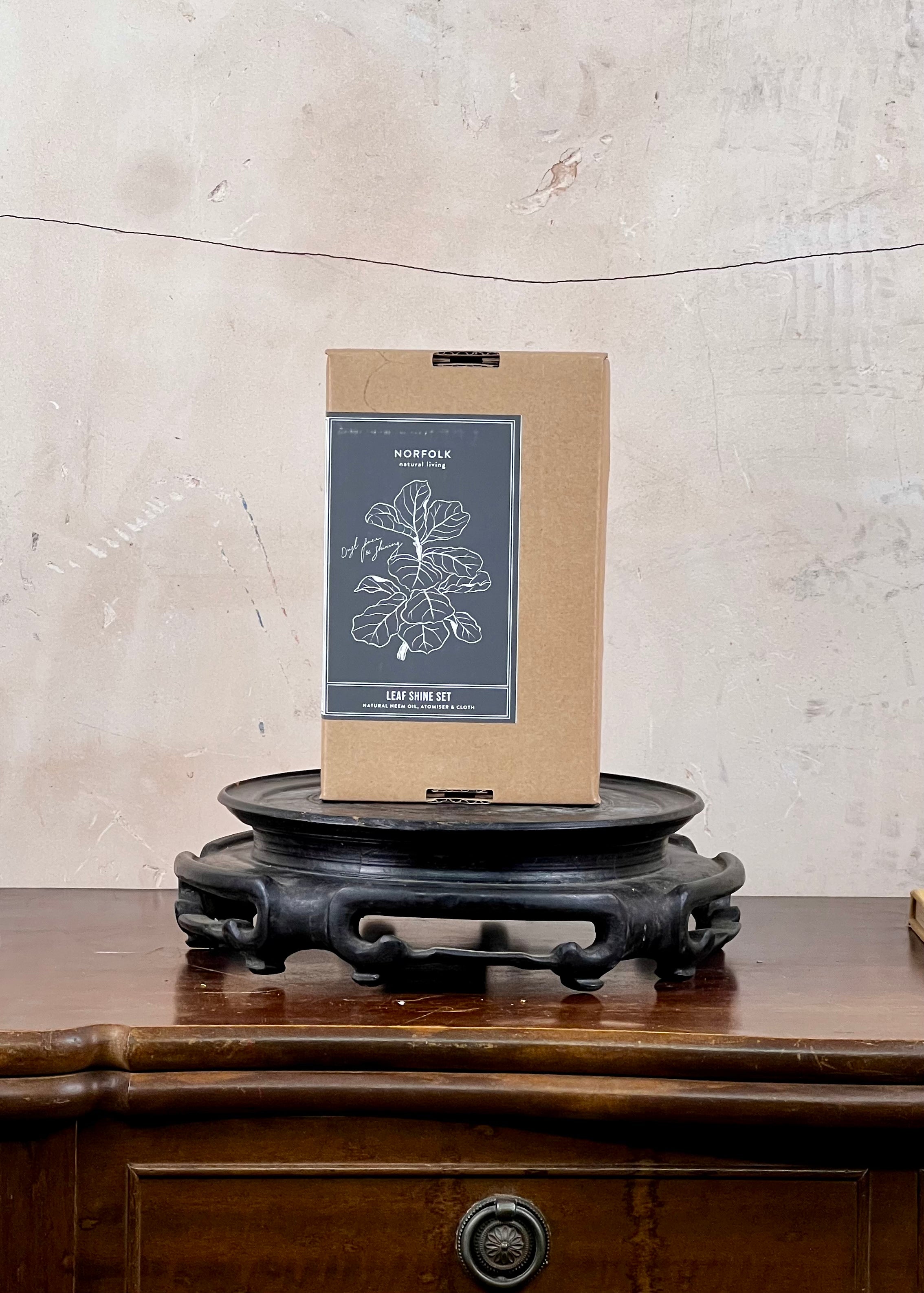 Norfolk Plant Leaf Shine Set