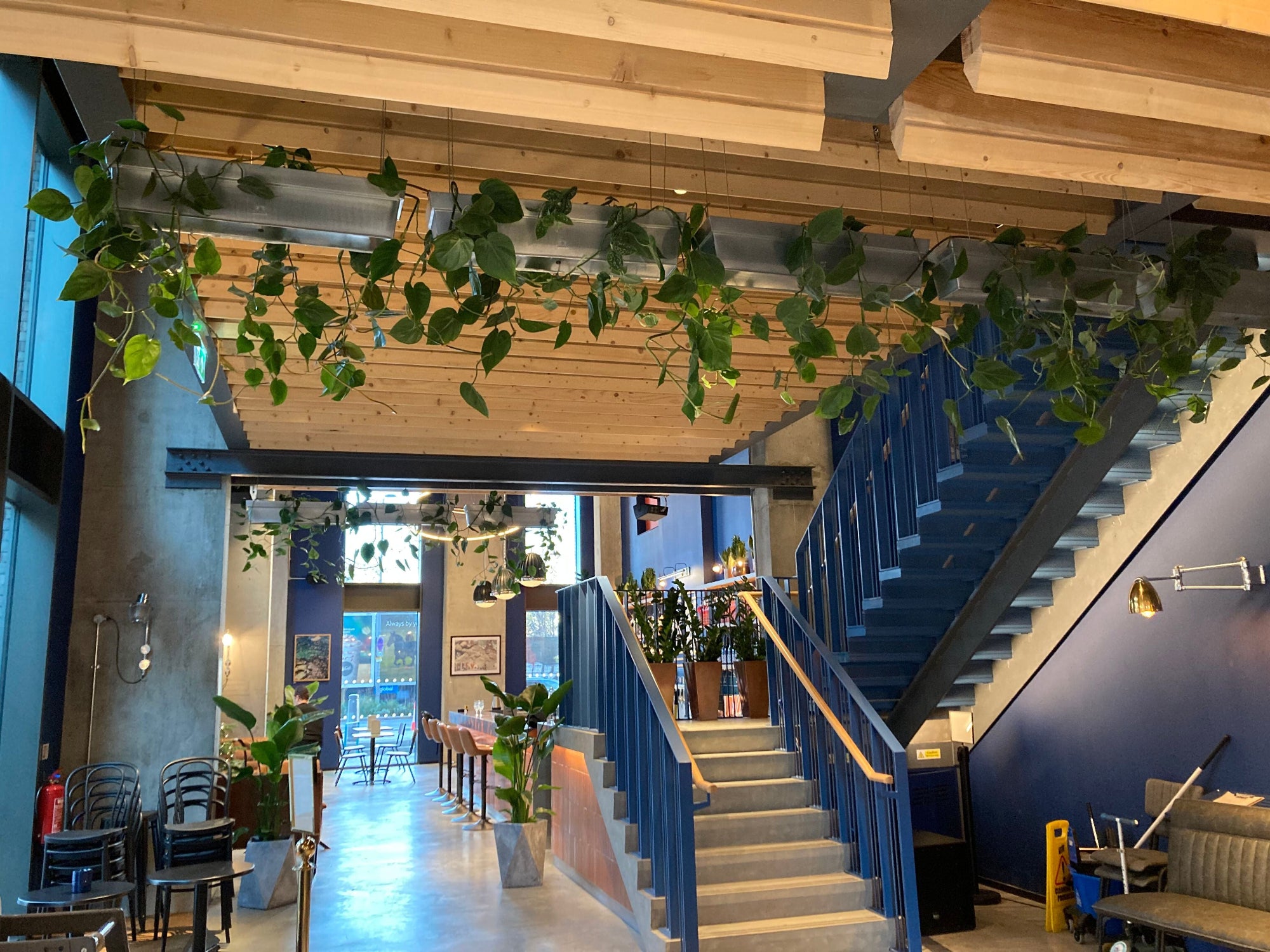 Modern interior with blue staircase, wooden ceiling rafters and casual dining area. Plants trail down from zinc containers suspended from the ceiling. Large plants are spread around the space