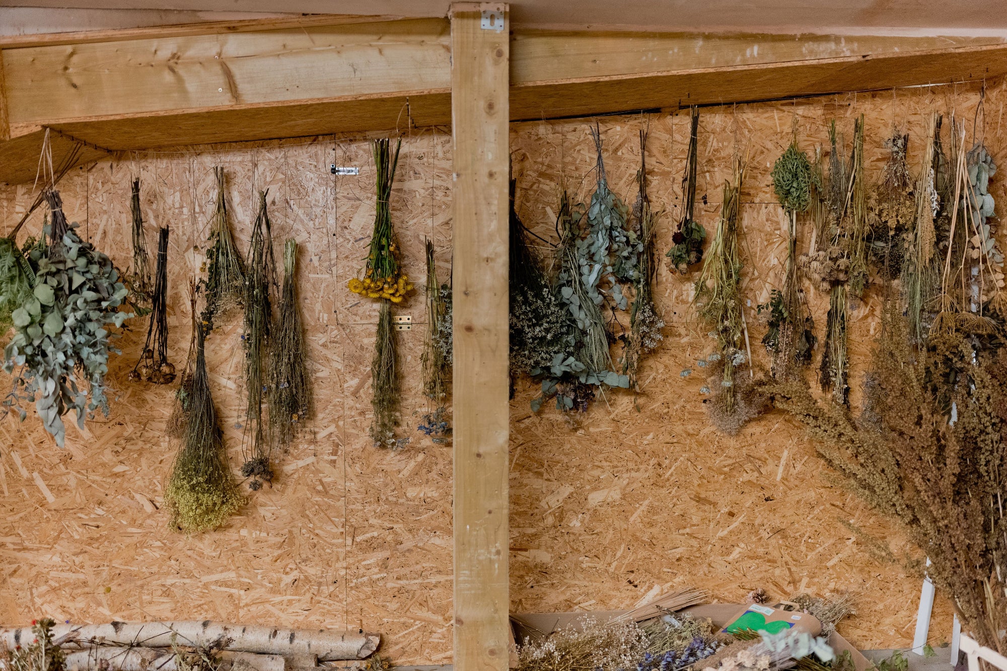 Dried plants hanging on a wooden wall