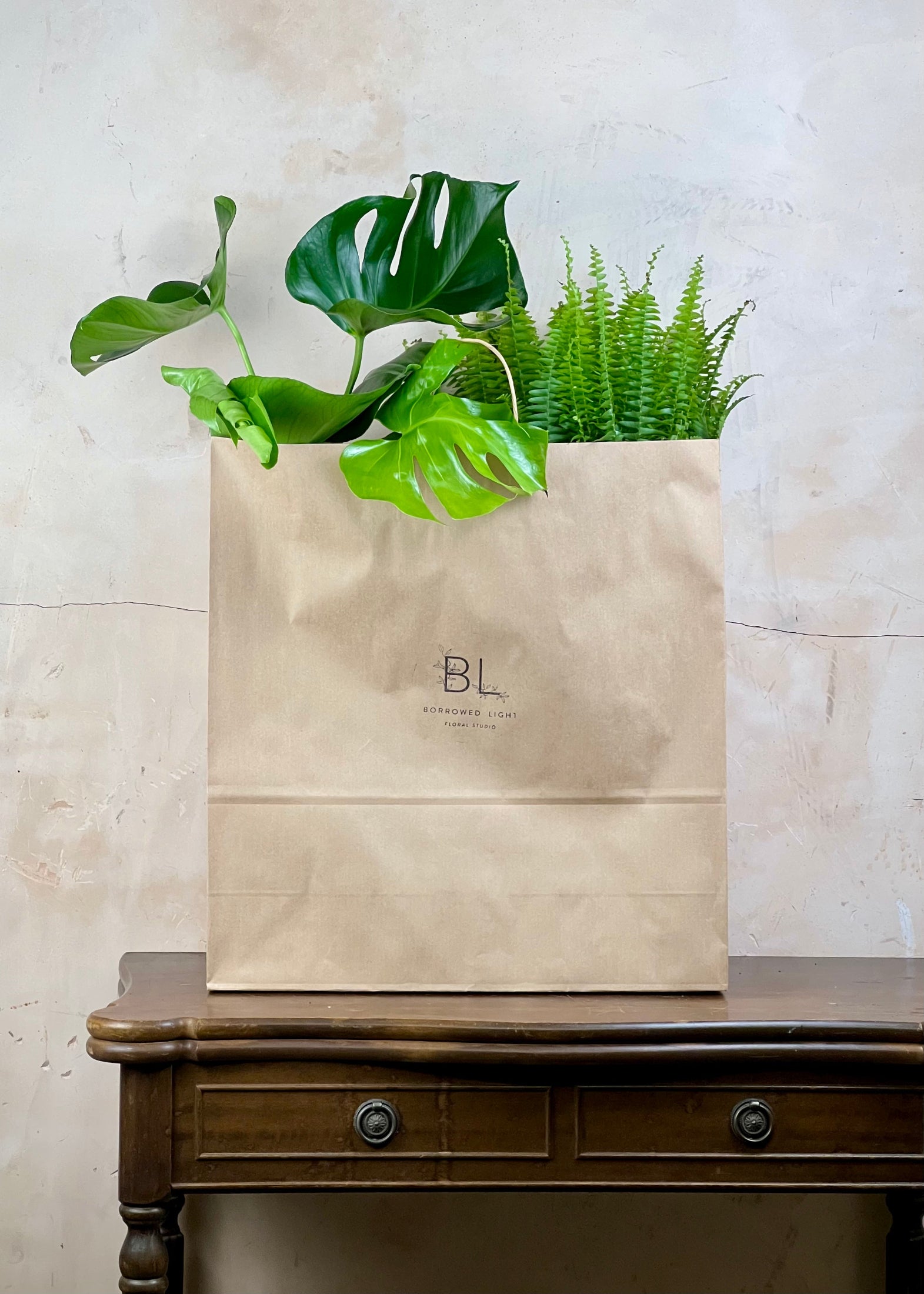 A brown kraft paper bag with the logo 'BL' printed on the front, filled with green houseplants and displayed on a dark wooden console table against a textured beige wall.